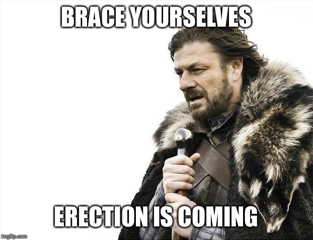 Brace Yourselves X is Coming | BRACE YOURSELVES ERECTION IS COMING | image tagged in memes,brace yourselves x is coming | made w/ Imgflip meme maker