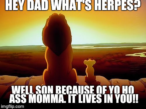 Lion King | HEY DAD WHAT'S HERPES? WELL SON BECAUSE OF YO HO ASS MOMMA. IT LIVES IN YOU!! | image tagged in memes,lion king | made w/ Imgflip meme maker