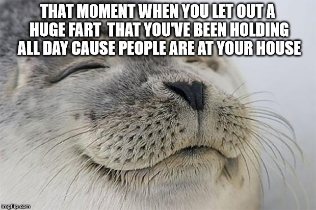 very satisfied after this XD | THAT M0MENT WHEN YOU LET OUT A HUGE FART  THAT YOU'VE BEEN HOLDING ALL DAY CAUSE PEOPLE ARE AT YOUR HOUSE | image tagged in memes,satisfied seal,fart,seal | made w/ Imgflip meme maker