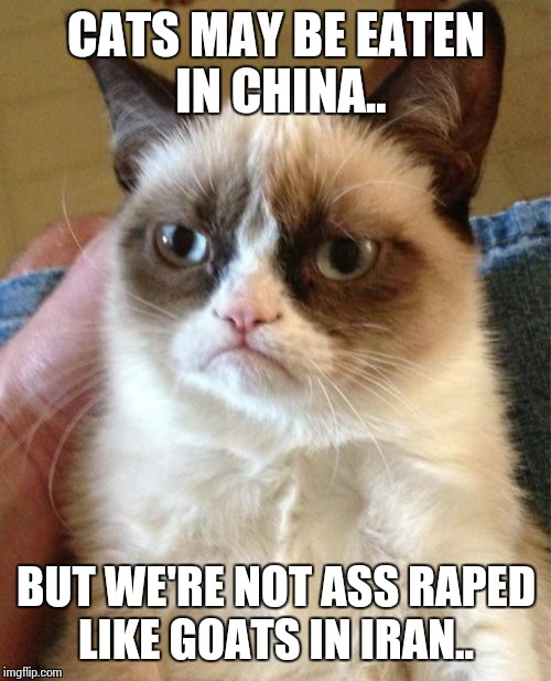 Grumpy Cat Meme | CATS MAY BE EATEN IN CHINA.. BUT WE'RE NOT ASS **PED LIKE GOATS IN IRAN.. | image tagged in memes,grumpy cat | made w/ Imgflip meme maker