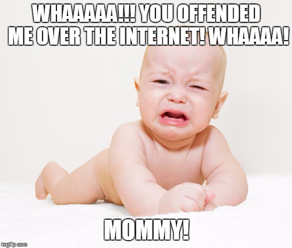 WHAAAAA!!! YOU OFFENDED ME OVER THE INTERNET! WHAAAA! MOMMY! | image tagged in baby | made w/ Imgflip meme maker