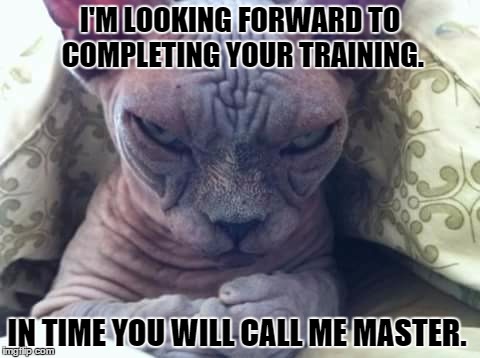 You will call me Master. | I'M LOOKING FORWARD TO COMPLETING YOUR TRAINING. IN TIME YOU WILL CALL ME MASTER. | image tagged in cat sidious,memes | made w/ Imgflip meme maker