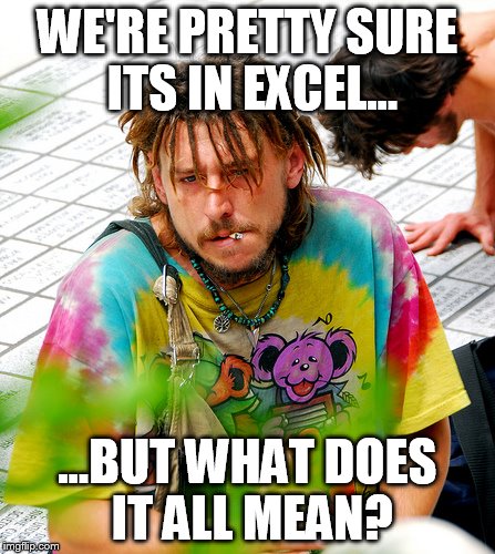 Stoner PhD | WE'RE PRETTY SURE ITS IN EXCEL... ...BUT WHAT DOES IT ALL MEAN? | image tagged in memes,stoner phd | made w/ Imgflip meme maker