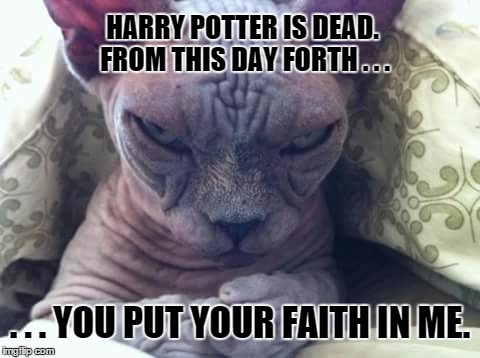 Harry Potter is dead | HARRY POTTER IS DEAD. FROM THIS DAY FORTH . . . . . . YOU PUT YOUR FAITH IN ME. | image tagged in cat sidious | made w/ Imgflip meme maker