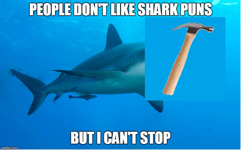 PEOPLE DON'T LIKE SHARK PUNS BUT I CAN'T STOP | image tagged in shark | made w/ Imgflip meme maker