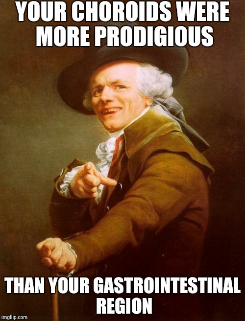 Joseph Ducreux | YOUR CHOROIDS WERE MORE PRODIGIOUS THAN YOUR GASTROINTESTINAL REGION | image tagged in memes,joseph ducreux | made w/ Imgflip meme maker