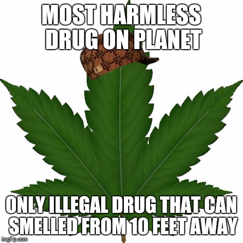 weed | MOST HARMLESS DRUG ON PLANET ONLY ILLEGAL DRUG THAT CAN SMELLED FROM 10 FEET AWAY | image tagged in weed,scumbag | made w/ Imgflip meme maker