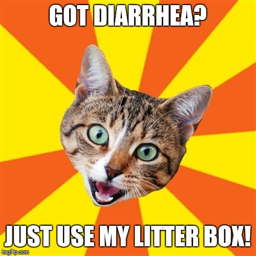 Bad Advice Cat Meme | GOT DIARRHEA? JUST USE MY LITTER BOX! | image tagged in memes,bad advice cat | made w/ Imgflip meme maker