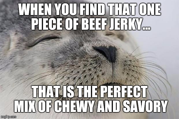 Satisfied Seal Meme | WHEN YOU FIND THAT ONE PIECE OF BEEF JERKY... THAT IS THE PERFECT MIX OF CHEWY AND SAVORY | image tagged in memes,satisfied seal,AdviceAnimals | made w/ Imgflip meme maker