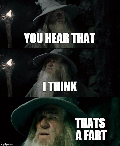 Confused Gandalf | YOU HEAR THAT I THINK THATS A FART | image tagged in memes,confused gandalf | made w/ Imgflip meme maker