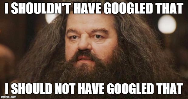 Hagrid | I SHOULDN'T HAVE GOOGLED THAT I SHOULD NOT HAVE GOOGLED THAT | image tagged in hagrid,funny | made w/ Imgflip meme maker