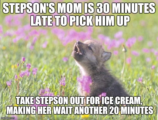 Baby Insanity Wolf Meme | STEPSON'S MOM IS 30 MINUTES LATE TO PICK HIM UP TAKE STEPSON OUT FOR ICE CREAM, MAKING HER WAIT ANOTHER 20 MINUTES | image tagged in memes,baby insanity wolf | made w/ Imgflip meme maker