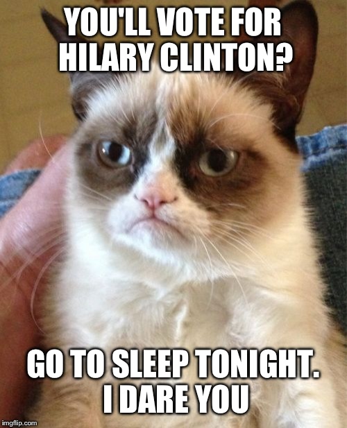 Grumpy Cat Meme | YOU'LL VOTE FOR HILARY CLINTON? GO TO SLEEP TONIGHT. I DARE YOU | image tagged in memes,grumpy cat | made w/ Imgflip meme maker