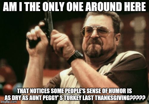 Am I The Only One Around Here Meme | AM I THE ONLY ONE AROUND HERE THAT NOTICES SOME PEOPLE'S SENSE OF HUMOR IS AS DRY AS AUNT PEGGY' S TURKEY LAST THANKSGIVING????? | image tagged in memes,am i the only one around here | made w/ Imgflip meme maker