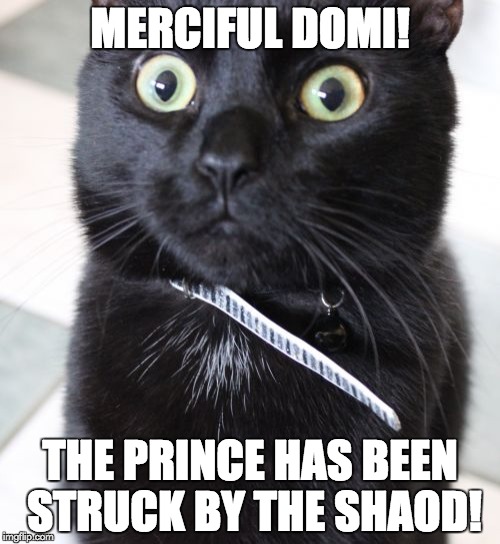 qplpm.jpg