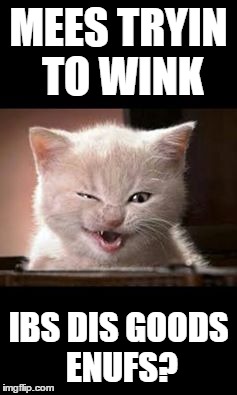MEES TRYIN TO WINK IBS DIS GOODS ENUFS? | image tagged in kitty,wink,good | made w/ Imgflip meme maker