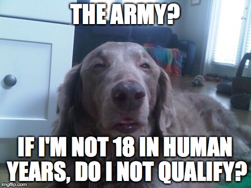 THE ARMY? IF I'M NOT 18 IN HUMAN YEARS, DO I NOT QUALIFY? | made w/ Imgflip meme maker