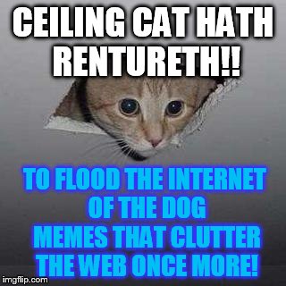Flood ceiling cat, flood! | CEILING CAT HATH RENTURETH!! TO FLOOD THE INTERNET OF THE DOG MEMES THAT CLUTTER THE WEB ONCE MORE! | image tagged in ceiling cat | made w/ Imgflip meme maker