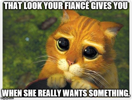 Shrek Cat | THAT LOOK YOUR FIANCÉ GIVES YOU WHEN SHE REALLY WANTS SOMETHING. | image tagged in memes,shrek cat | made w/ Imgflip meme maker