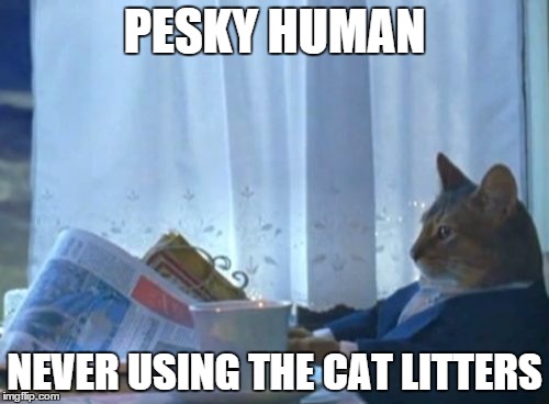 I Should Buy A Boat Cat | PESKY HUMAN NEVER USING THE CAT LITTERS | image tagged in memes,i should buy a boat cat | made w/ Imgflip meme maker