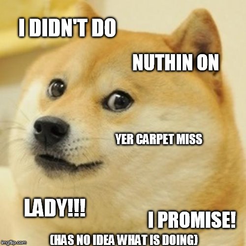 Doge Meme | I DIDN'T DO NUTHIN ON YER CARPET MISS LADY!!! I PROMISE! (HAS NO IDEA WHAT IS DOING) | image tagged in memes,doge | made w/ Imgflip meme maker