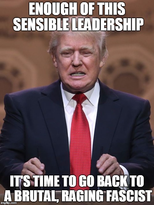 Donald Trump | ENOUGH OF THIS SENSIBLE LEADERSHIP IT'S TIME TO GO BACK TO A BRUTAL, RAGING FASCIST | image tagged in donald trump | made w/ Imgflip meme maker