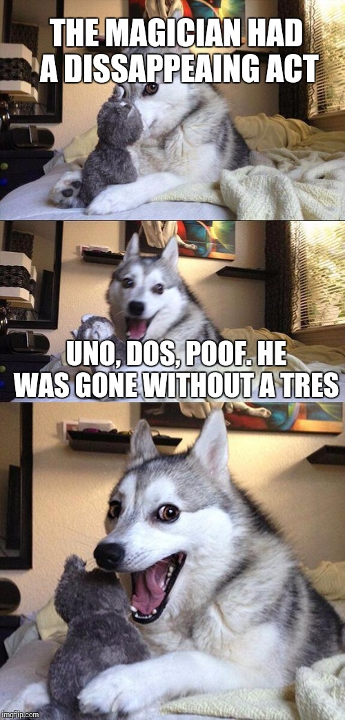 Dissappeaing Magician  | THE MAGICIAN HAD A DISSAPPEAING ACT UNO, DOS, POOF. HE WAS GONE WITHOUT A TRES | image tagged in memes,bad pun dog | made w/ Imgflip meme maker