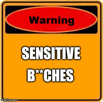 Warning Sign Meme | SENSITIVE B**CHES | image tagged in memes,warning sign | made w/ Imgflip meme maker