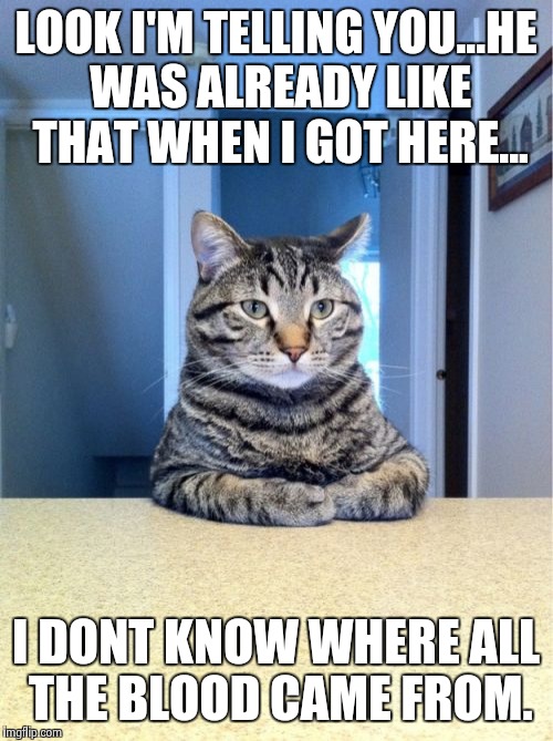 Take A Seat Cat Meme | LOOK I'M TELLING YOU...HE WAS ALREADY LIKE THAT WHEN I GOT HERE... I DONT KNOW WHERE ALL THE BLOOD CAME FROM. | image tagged in memes,take a seat cat | made w/ Imgflip meme maker