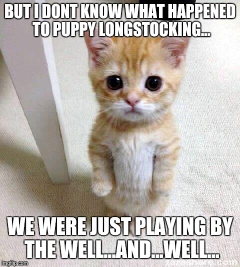 Cute Cat | BUT I DONT KNOW WHAT HAPPENED TO PUPPY LONGSTOCKING... WE WERE JUST PLAYING BY THE WELL...AND...WELL... | image tagged in memes,cute cat | made w/ Imgflip meme maker