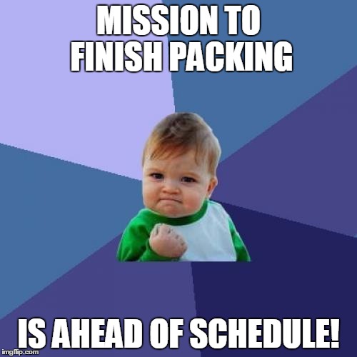 Success Kid Meme | MISSION TO FINISH PACKING IS AHEAD OF SCHEDULE! | image tagged in memes,success kid | made w/ Imgflip meme maker
