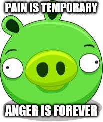 Angry Birds Pig | PAIN IS TEMPORARY ANGER IS FOREVER | image tagged in memes,angry birds pig | made w/ Imgflip meme maker