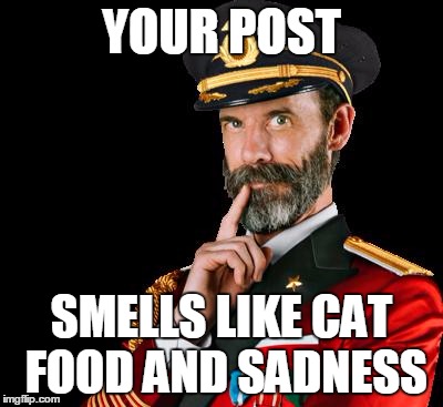 captain obvious | YOUR POST SMELLS LIKE CAT FOOD AND SADNESS | image tagged in captain obvious | made w/ Imgflip meme maker