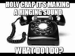 HOLY CRAP IT'S MAKING A RINGING SOUND WHAT DO I DO? | image tagged in telelphone | made w/ Imgflip meme maker