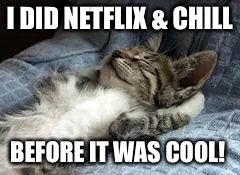 The Chillin kitten | I DID NETFLIX & CHILL BEFORE IT WAS COOL! | image tagged in the chillin kitten,netflix,netflix and chill,cool | made w/ Imgflip meme maker