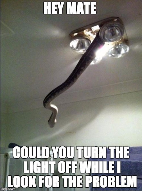 Snake Electrician  | HEY MATE COULD YOU TURN THE LIGHT OFF WHILE I LOOK FOR THE PROBLEM | image tagged in snake electrician | made w/ Imgflip meme maker