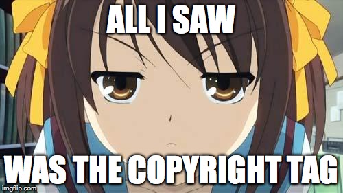 Haruhi stare | ALL I SAW WAS THE COPYRIGHT TAG | image tagged in haruhi stare | made w/ Imgflip meme maker