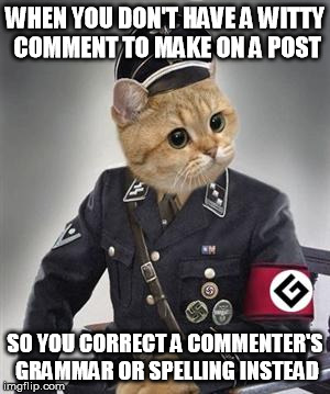 Grammar Nazi Cat | WHEN YOU DON'T HAVE A WITTY COMMENT TO MAKE ON A POST SO YOU CORRECT A COMMENTER'S GRAMMAR OR SPELLING INSTEAD | image tagged in grammar nazi cat,memes,comments | made w/ Imgflip meme maker