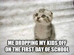 Sad Cat | ME DROPPING MY KIDS OFF ON THE FIRST DAY OF SCHOOL | image tagged in memes,sad cat | made w/ Imgflip meme maker