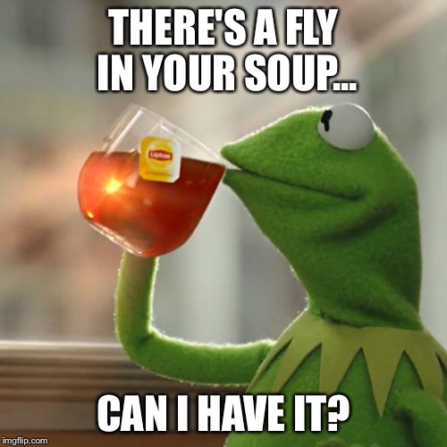 But That's None Of My Business | THERE'S A FLY IN YOUR SOUP... CAN I HAVE IT? | image tagged in memes,but thats none of my business,kermit the frog | made w/ Imgflip meme maker