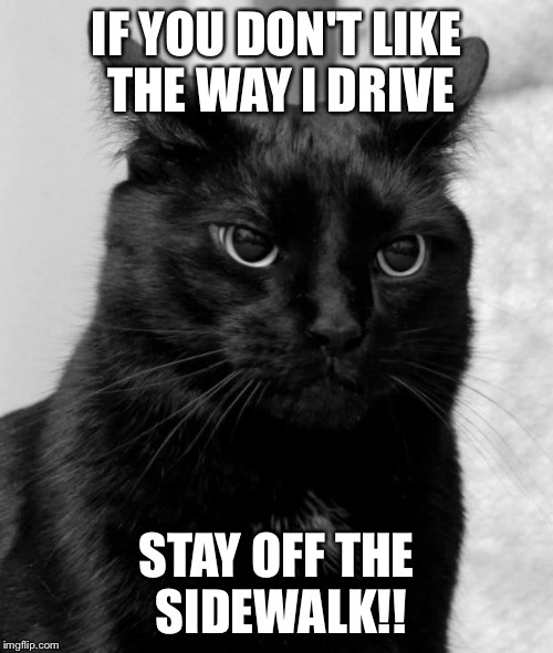 pissed cat | IF YOU DON'T LIKE THE WAY I DRIVE STAY OFF THE SIDEWALK!! | image tagged in pissed cat | made w/ Imgflip meme maker