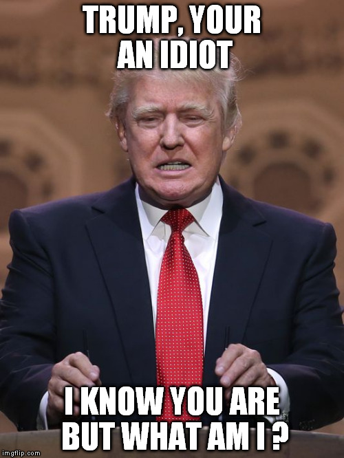 Donald Trump | TRUMP, YOUR AN IDIOT I KNOW YOU ARE BUT WHAT AM I ? | image tagged in donald trump | made w/ Imgflip meme maker