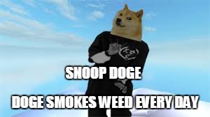 SNOOP DOGE DOGE SMOKES WEED EVERY DAY | image tagged in doge | made w/ Imgflip meme maker