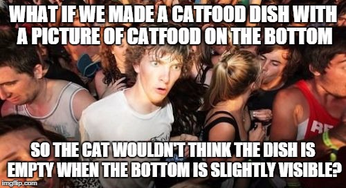 Sudden Clarity Clarence Meme | WHAT IF WE MADE A CATFOOD DISH WITH A PICTURE OF CATFOOD ON THE BOTTOM SO THE CAT WOULDN'T THINK THE DISH IS EMPTY WHEN THE BOTTOM IS SLIGHT | image tagged in memes,sudden clarity clarence | made w/ Imgflip meme maker