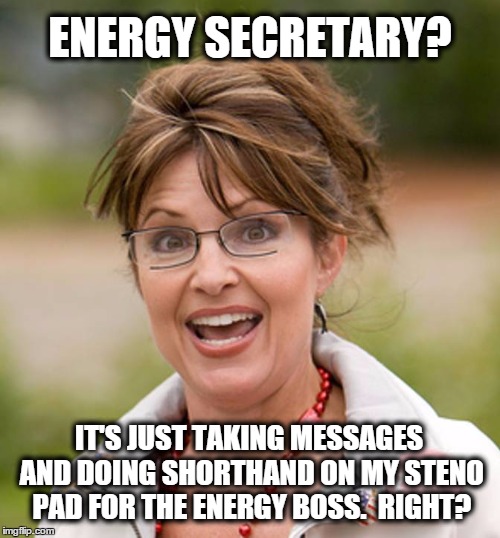 ENERGY SECRETARY? IT'S JUST TAKING MESSAGES AND DOING SHORTHAND ON MY STENO PAD FOR THE ENERGY BOSS.  RIGHT? | image tagged in sarah palin,memes | made w/ Imgflip meme maker