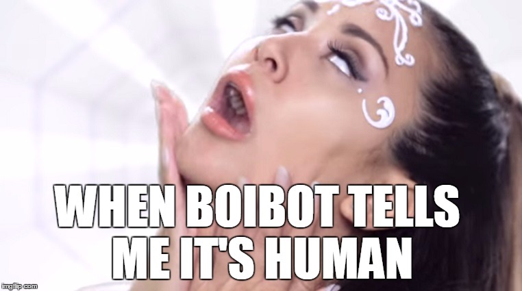 Ariana Grande Parody | WHEN BOIBOT TELLS ME IT'S HUMAN | image tagged in ariana grande parody | made w/ Imgflip meme maker