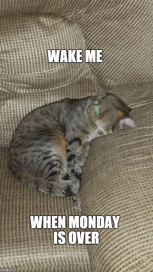 WAKE ME WHEN MONDAY IS OVER | image tagged in hate mondays | made w/ Imgflip meme maker