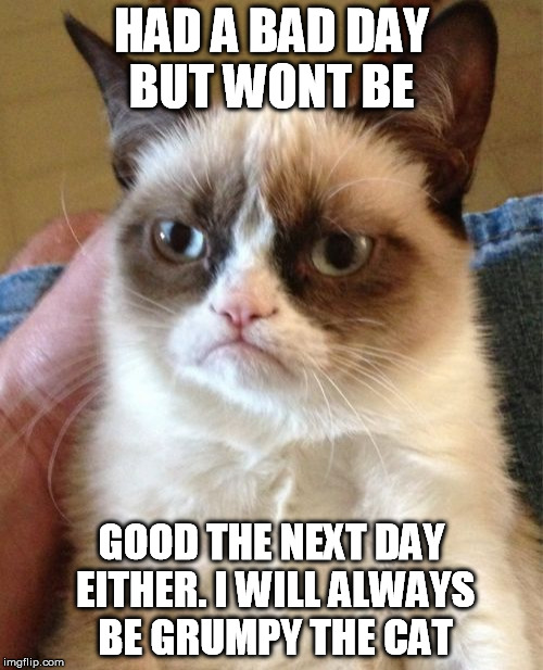 Grumpy Cat | HAD A BAD DAY BUT WONT BE GOOD THE NEXT DAY EITHER. I WILL ALWAYS BE GRUMPY THE CAT | image tagged in memes,grumpy cat | made w/ Imgflip meme maker