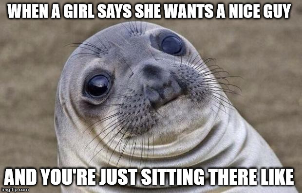 these hoes | WHEN A GIRL SAYS SHE WANTS A NICE GUY AND YOU'RE JUST SITTING THERE LIKE | image tagged in memes,awkward moment sealion | made w/ Imgflip meme maker