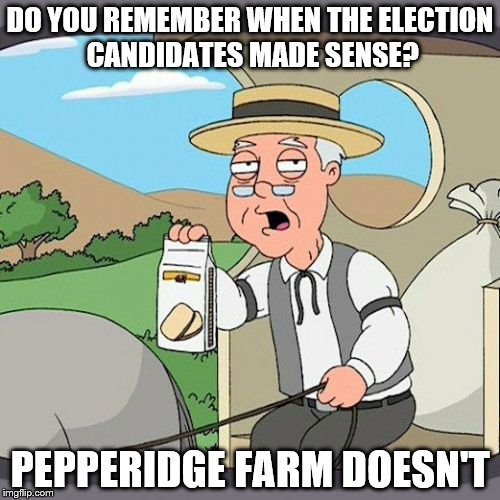 Pepperidge Farm Remembers Meme | DO YOU REMEMBER WHEN THE ELECTION CANDIDATES MADE SENSE? PEPPERIDGE FARM DOESN'T | image tagged in memes,pepperidge farm remembers | made w/ Imgflip meme maker
